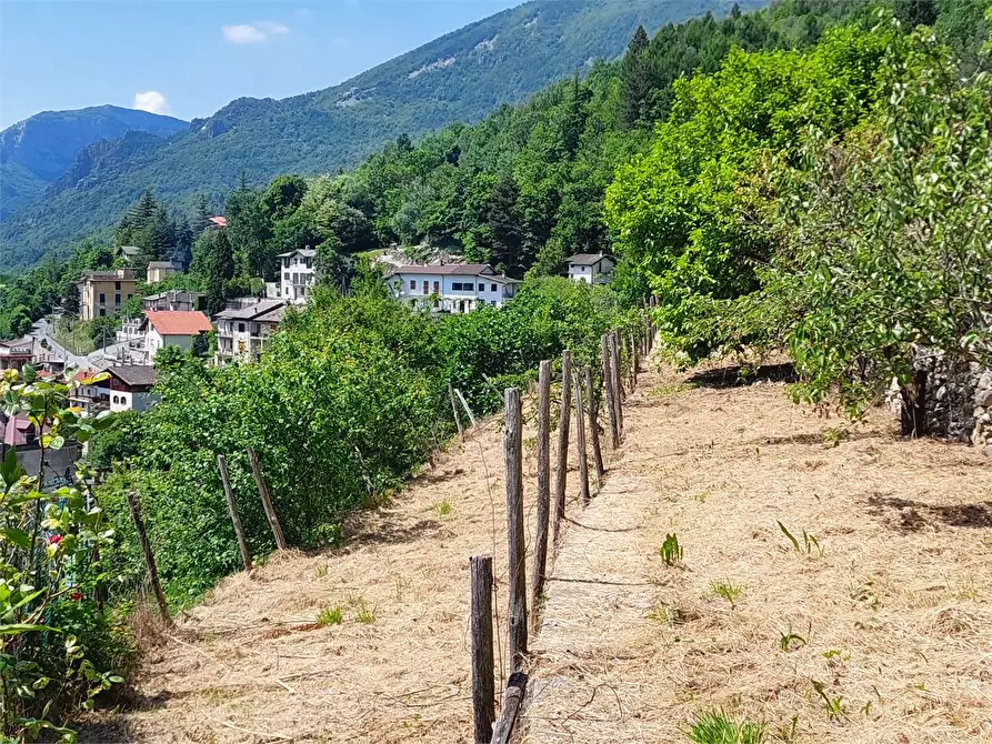 Immagine 36 di Rustico / casale in vendita  in Via Castello a Ormea