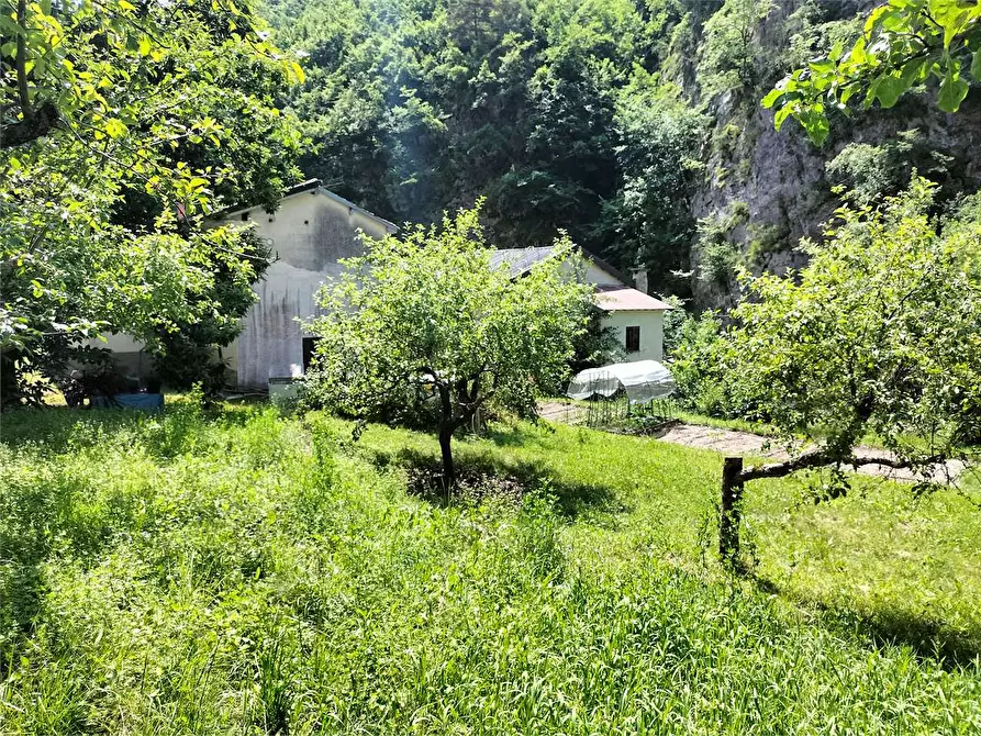 Immagine 10 di Rustico / casale in vendita  in Frazione Ponte di Nava Località Figalli a Ormea
