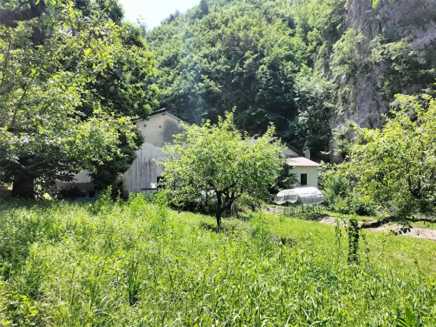 Immagine 11 di Rustico / casale in vendita  in Frazione Ponte di Nava Località Figalli a Ormea