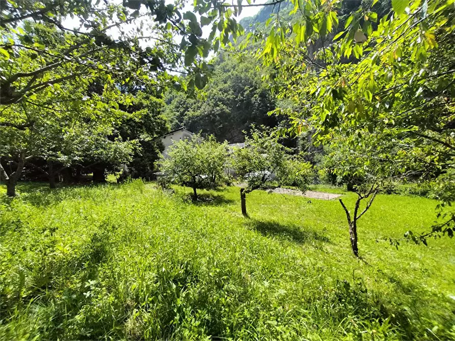 Immagine 117 di Rustico / casale in vendita  in Frazione Ponte di Nava Località Figalli a Ormea