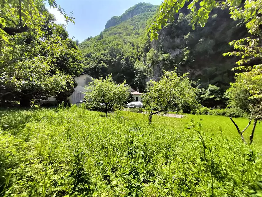 Immagine 120 di Rustico / casale in vendita  in Frazione Ponte di Nava Località Figalli a Ormea