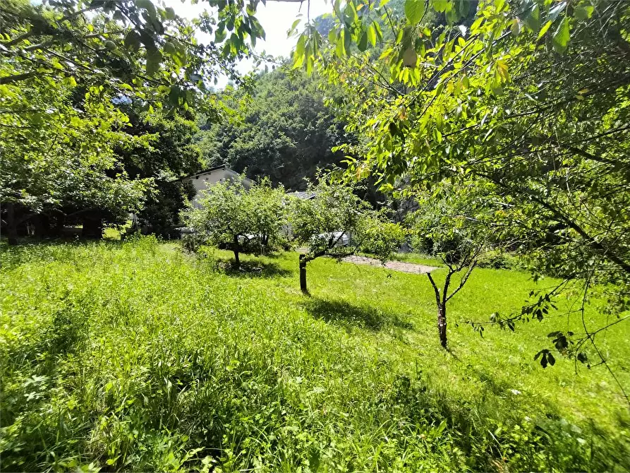 Immagine 118 di Rustico / casale in vendita  in Frazione Ponte di Nava Località Figalli a Ormea