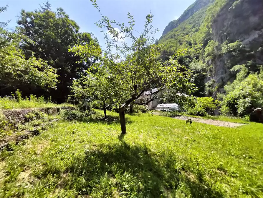 Immagine 116 di Rustico / casale in vendita  in Frazione Ponte di Nava Località Figalli a Ormea