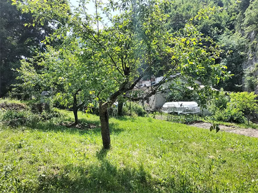 Immagine 119 di Rustico / casale in vendita  in Frazione Ponte di Nava Località Figalli a Ormea