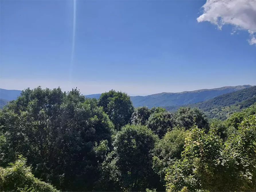 Immagine 5 di Appartamento in vendita  in Via San Bernardo di Conio 22 a Borgomaro