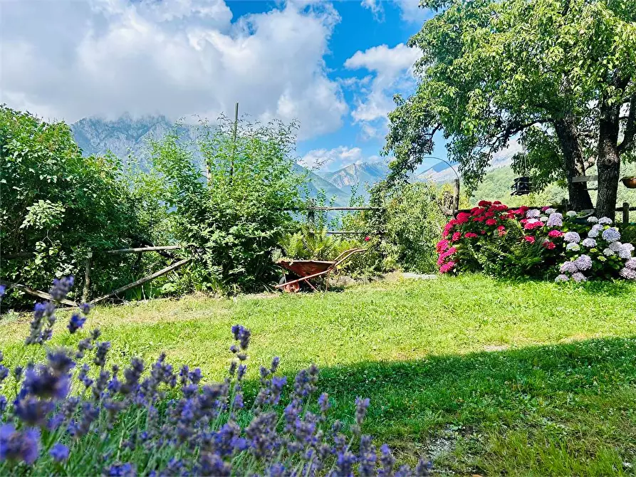 Immagine 8 di Casa indipendente in vendita  in Frazione Pornassino, Loc. Logne a Ormea