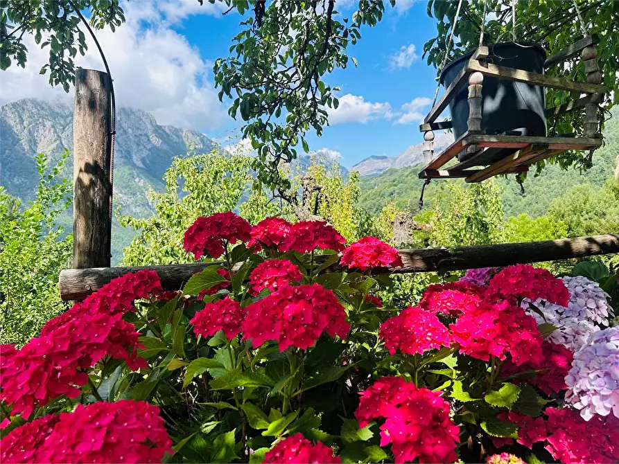 Immagine 9 di Casa indipendente in vendita  in Frazione Pornassino, Loc. Logne a Ormea