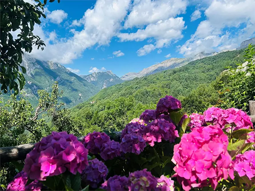 Immagine 2 di Casa indipendente in vendita  in Frazione Pornassino, Loc. Logne a Ormea