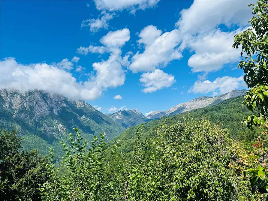 Immagine 19 di Casa indipendente in vendita  in Frazione Pornassino, Loc. Logne a Ormea