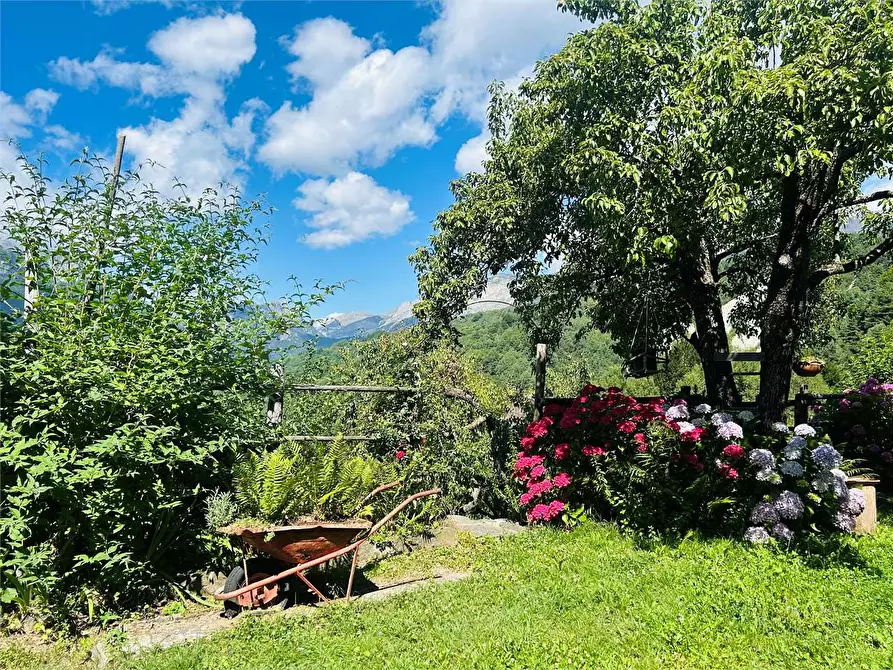 Immagine 26 di Casa indipendente in vendita  in Frazione Pornassino, Loc. Logne a Ormea