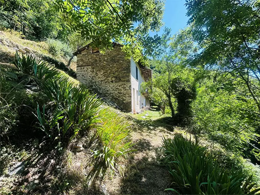 Immagine 1 di Rustico / casale in vendita  in Località Perondo - Gialatti  a Ormea