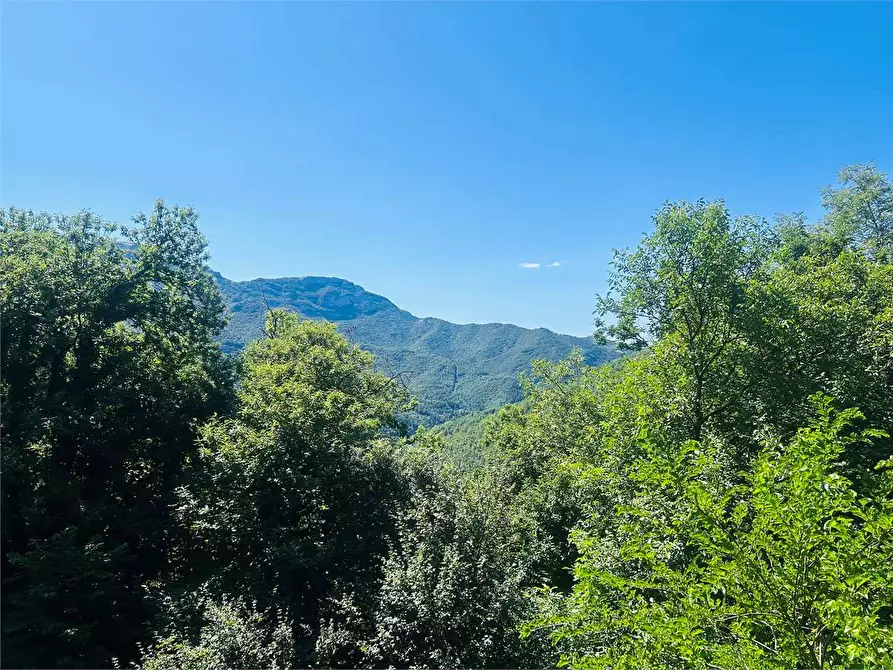 Immagine 9 di Rustico / casale in vendita  in Località Perondo - Gialatti  a Ormea