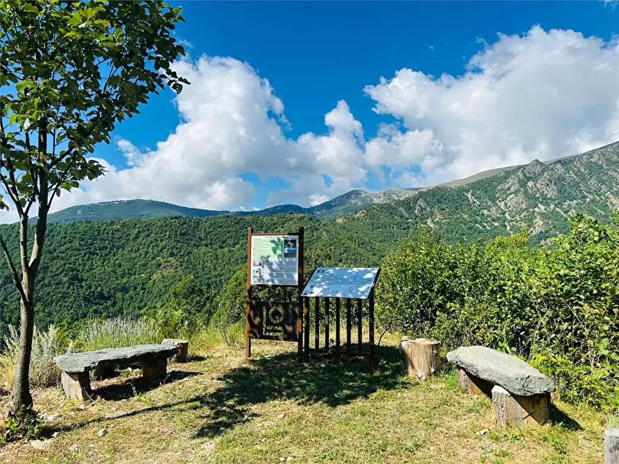 Immagine 22 di Rustico / casale in vendita  in Località Perondo - Gialatti  a Ormea