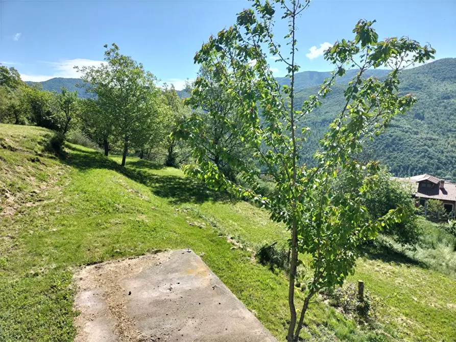 Immagine 55 di Casa indipendente in vendita  in Via Porenca 12 a Garessio