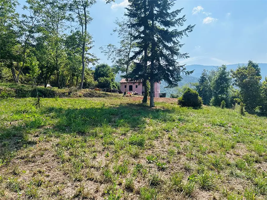 Immagine 18 di Rustico / casale in vendita  in Strada Provinciale a Priola