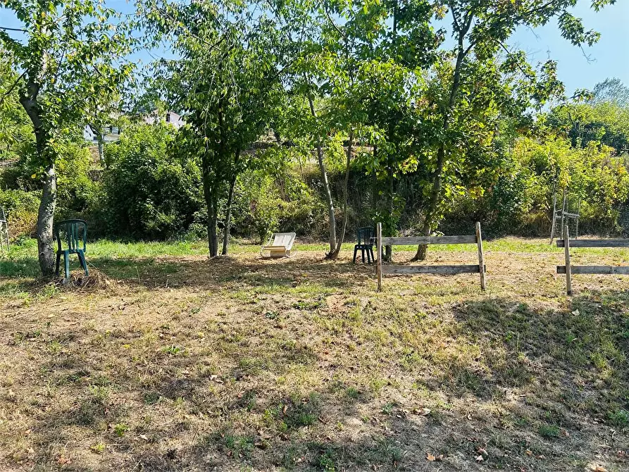 Immagine 5 di Rustico / casale in vendita  in Strada Provinciale a Priola