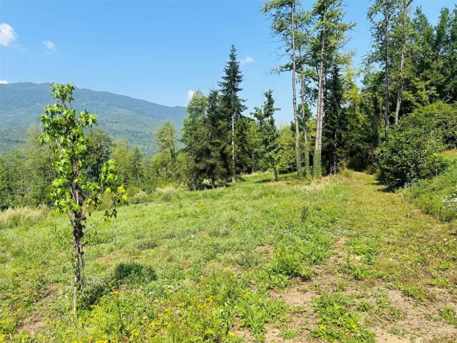 Immagine 17 di Rustico / casale in vendita  in Strada Provinciale a Priola
