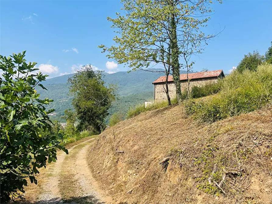 Immagine 21 di Rustico / casale in vendita  in Strada Provinciale a Priola