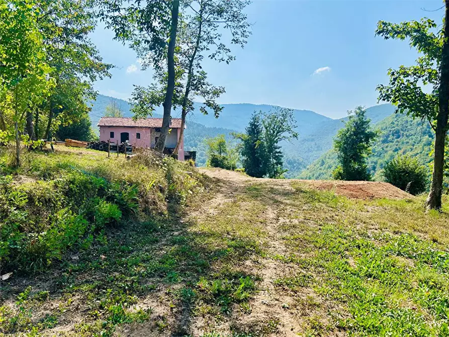 Immagine 4 di Rustico / casale in vendita  in Strada Provinciale a Priola