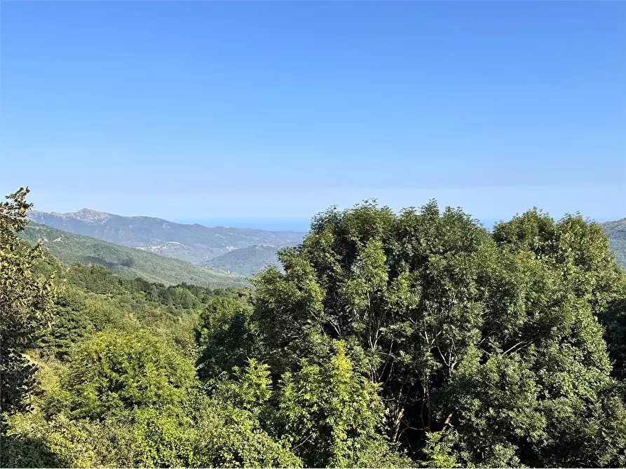 Immagine 3 di Appartamento in vendita  in Via San Bernardo di Conio 22 a Borgomaro