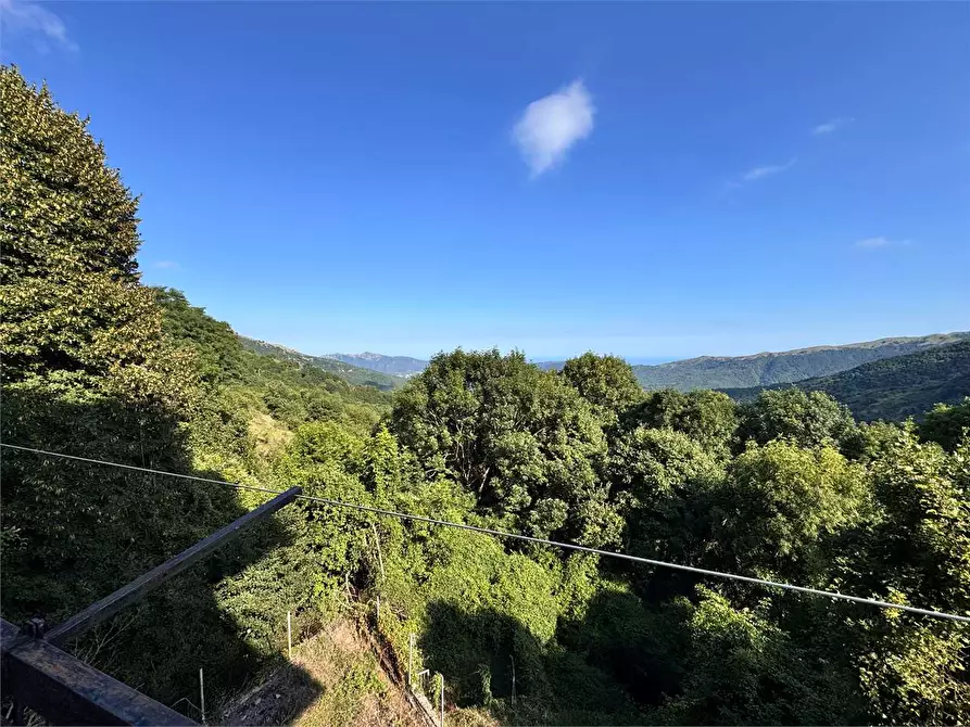 Immagine 2 di Appartamento in vendita  in Via San Bernardo di Conio 22 a Borgomaro