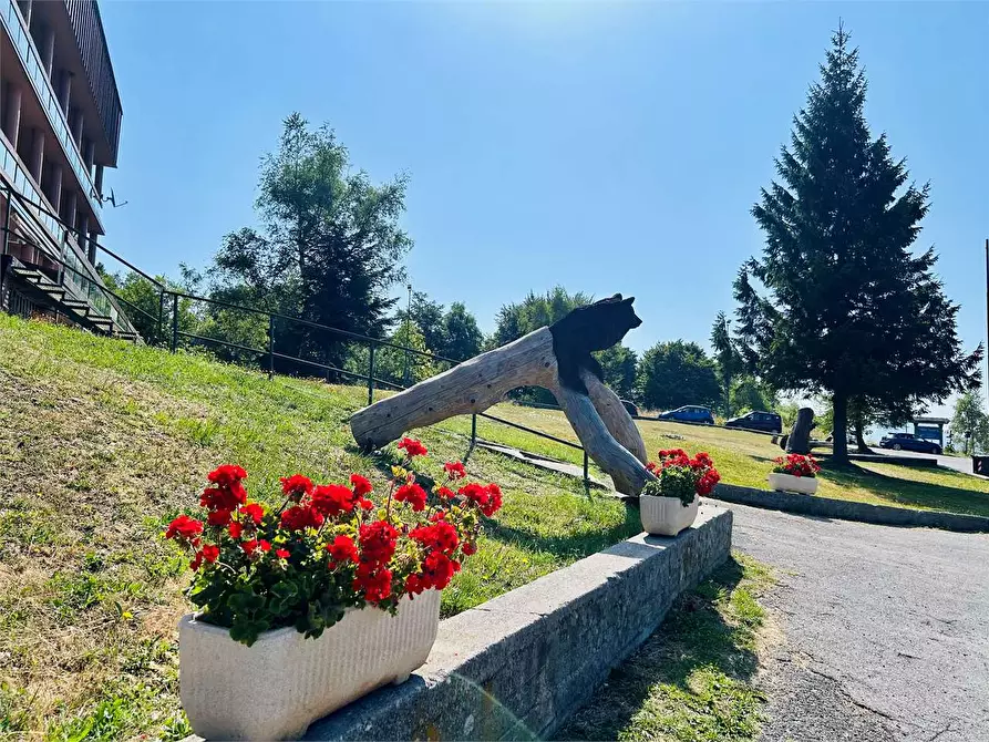 Immagine 21 di Appartamento in vendita  in Colle di Casotto a Garessio