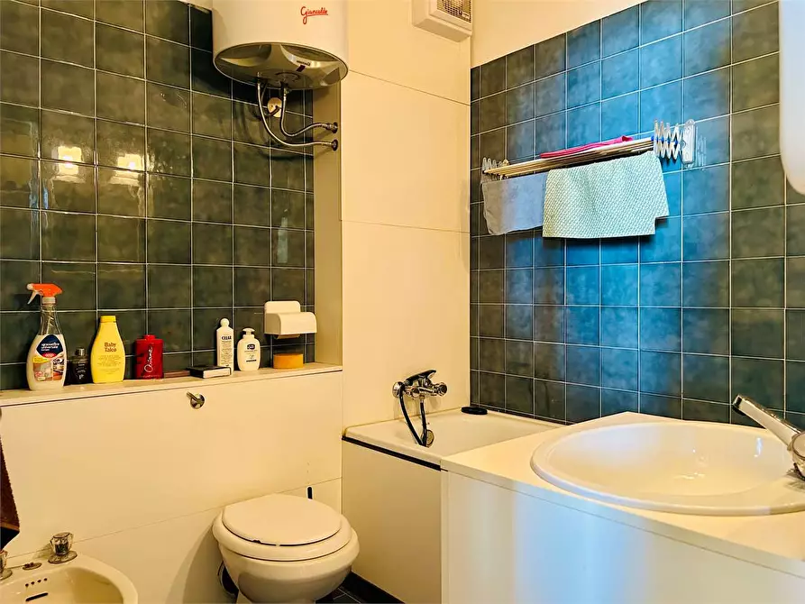 Immagine 19 di Appartamento in vendita  in Colle di Casotto a Garessio