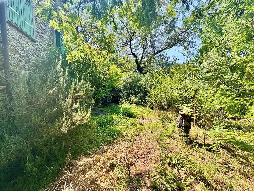 Immagine 57 di Casa indipendente in vendita  in Borgata Calabria a Ranzo