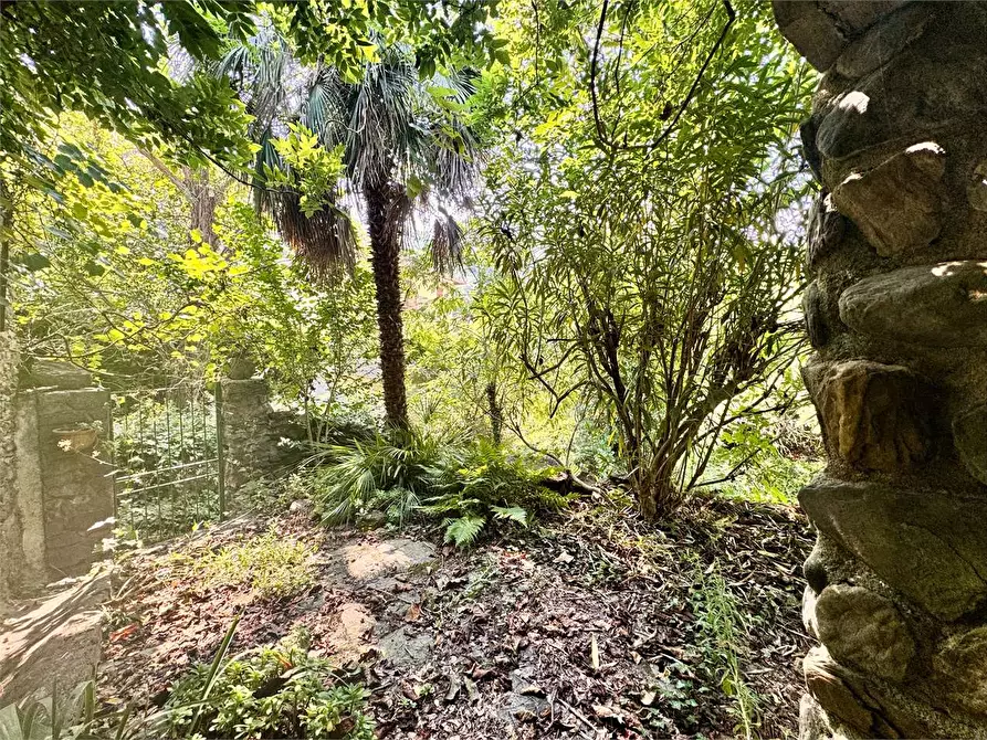 Immagine 56 di Casa indipendente in vendita  in Borgata Calabria a Ranzo