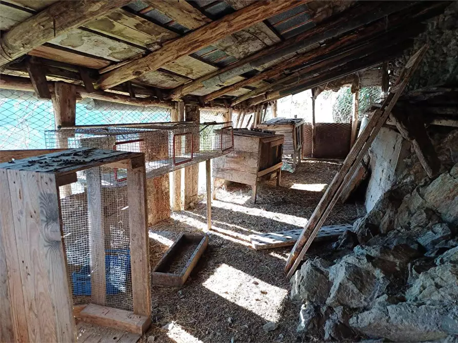 Immagine 38 di Rustico / casale in vendita  in Via Castello s.n.c. a Ormea