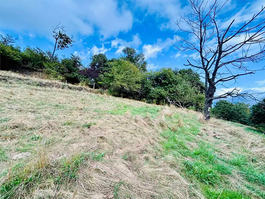 Immagine 44 di Villetta a schiera in vendita  in Frazione Mindino a Garessio