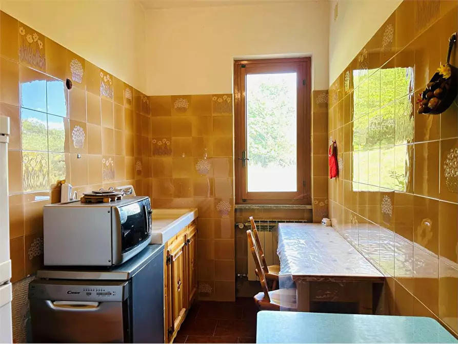 Immagine 60 di Casa bifamiliare in vendita  in Frazione Mindino  a Garessio