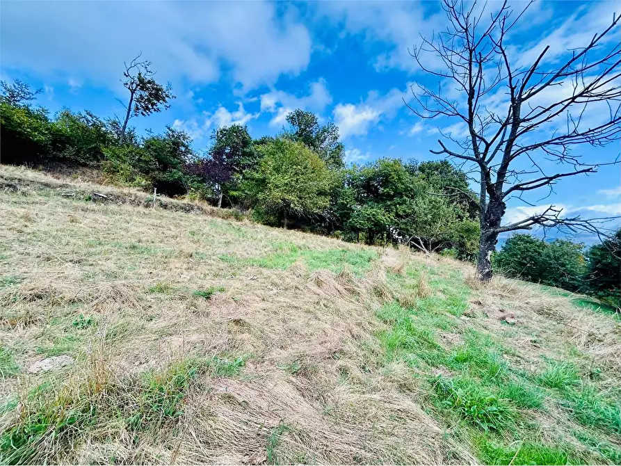 Immagine 8 di Casa bifamiliare in vendita  in Frazione Mindino  a Garessio