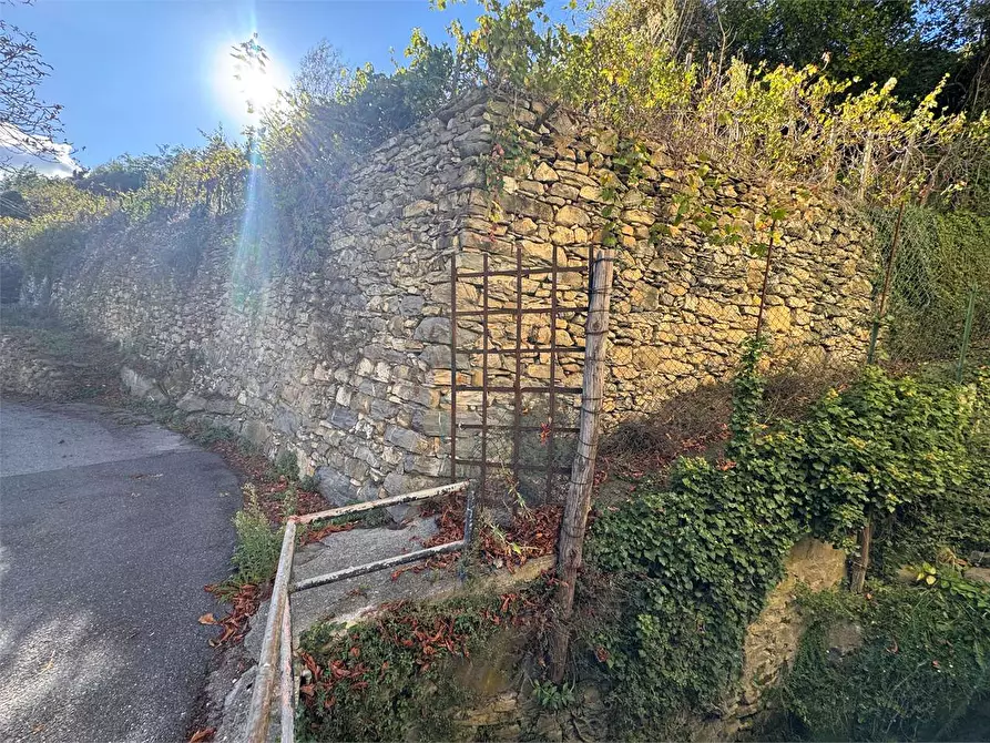 Immagine 55 di Casa indipendente in vendita  in Via Buenos Aires 15 a Rezzo