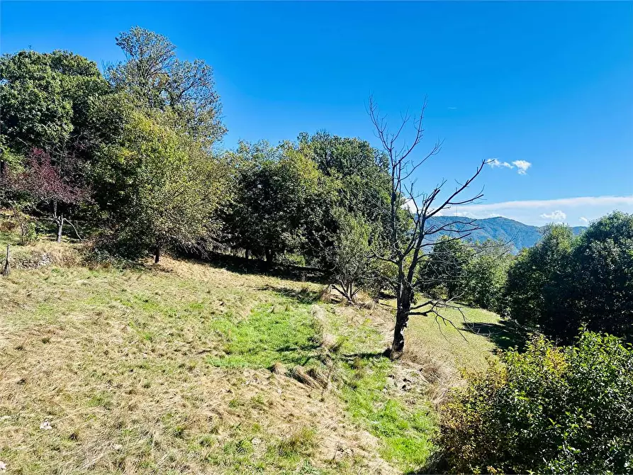 Immagine 48 di Casa bifamiliare in vendita  in Frazione Mindino  a Garessio