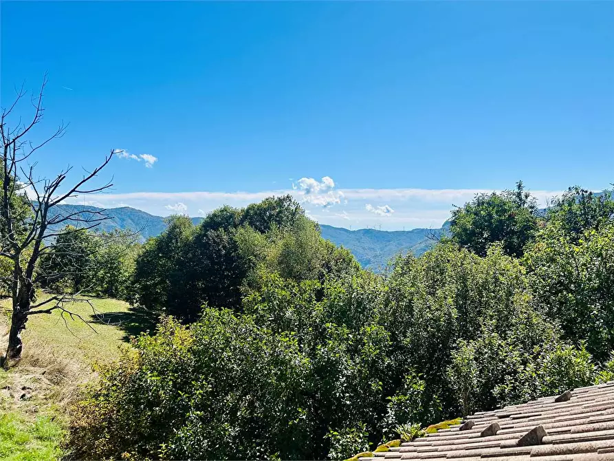 Immagine 74 di Casa bifamiliare in vendita  in Frazione Mindino  a Garessio