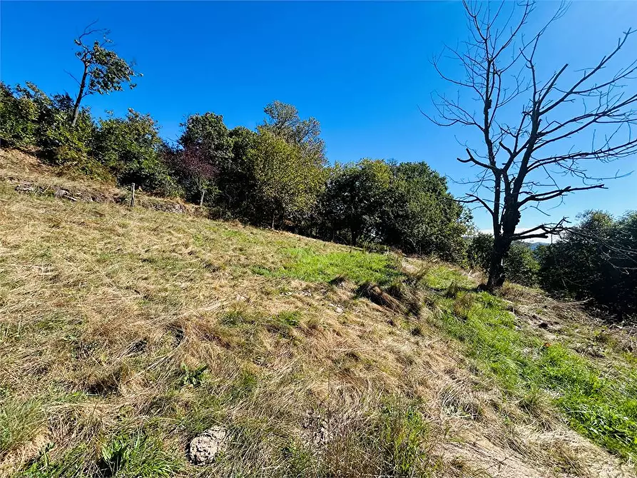 Immagine 88 di Casa bifamiliare in vendita  in Frazione Mindino  a Garessio