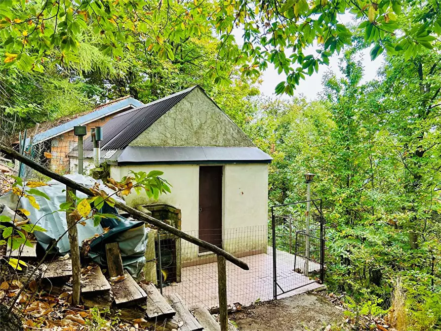 Immagine 19 di Dépendance in vendita  in Frazione Mindino  a Garessio