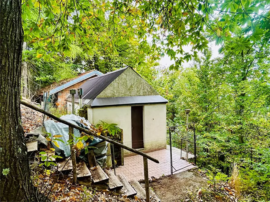 Immagine 7 di Dépendance in vendita  in Frazione Mindino  a Garessio