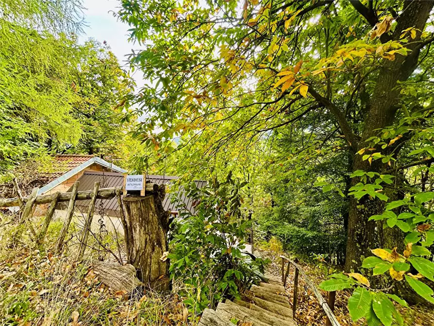 Immagine 22 di Dépendance in vendita  in Frazione Mindino  a Garessio