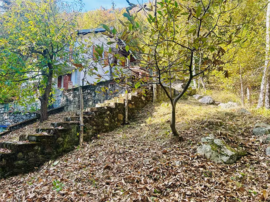 Immagine 7 di Casa indipendente in vendita  in Frazione Aimoni  a Ormea
