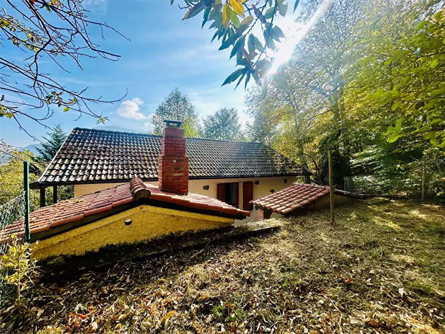 Immagine 40 di Casa indipendente in vendita  in Frazione Aimoni  a Ormea