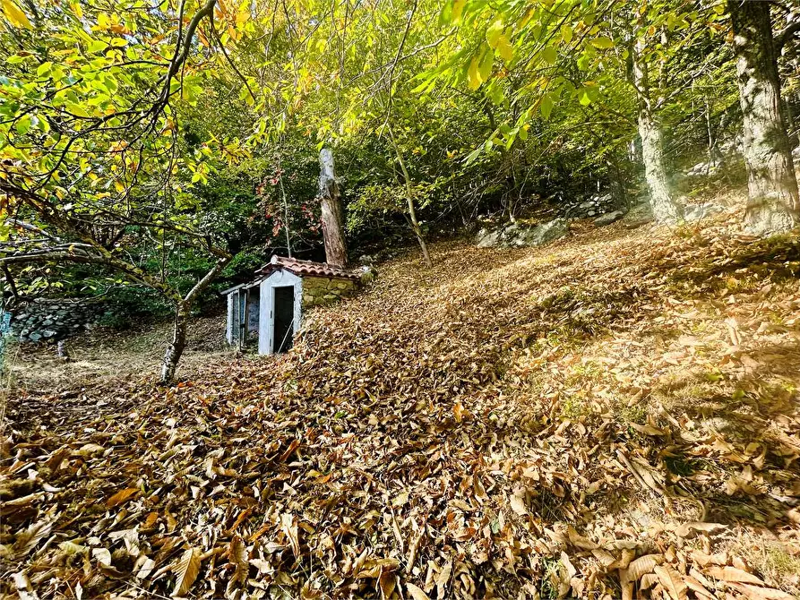 Immagine 39 di Casa indipendente in vendita  in Frazione Aimoni  a Ormea