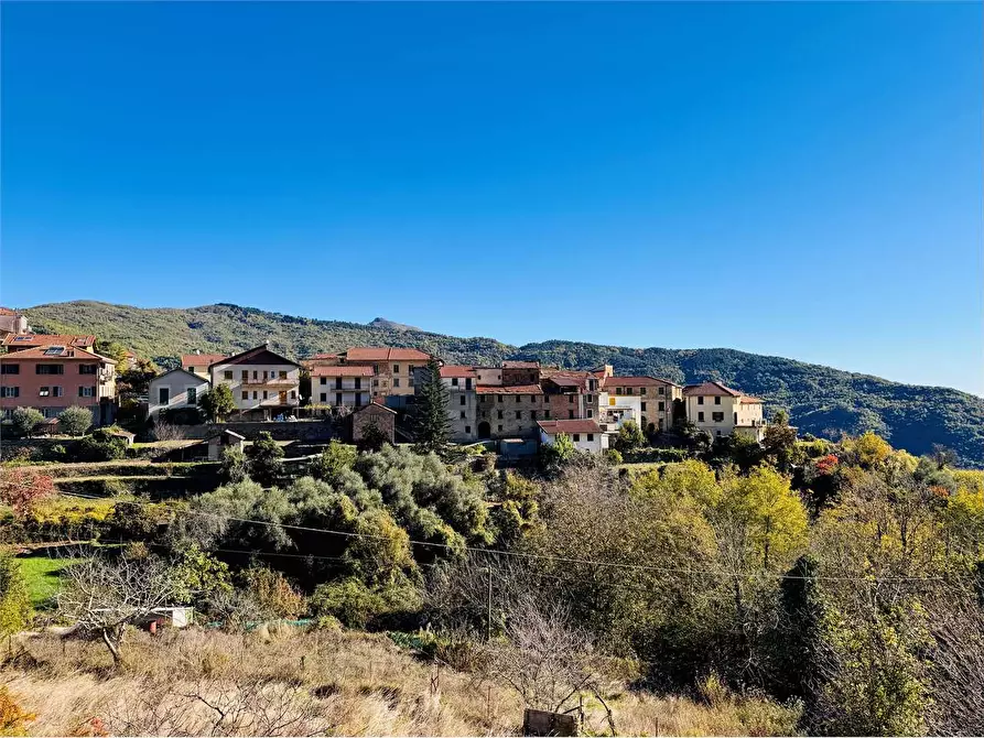 Immagine 68 di Casa indipendente in vendita  in Strada provinciale 14 2 a Borghetto D'arroscia