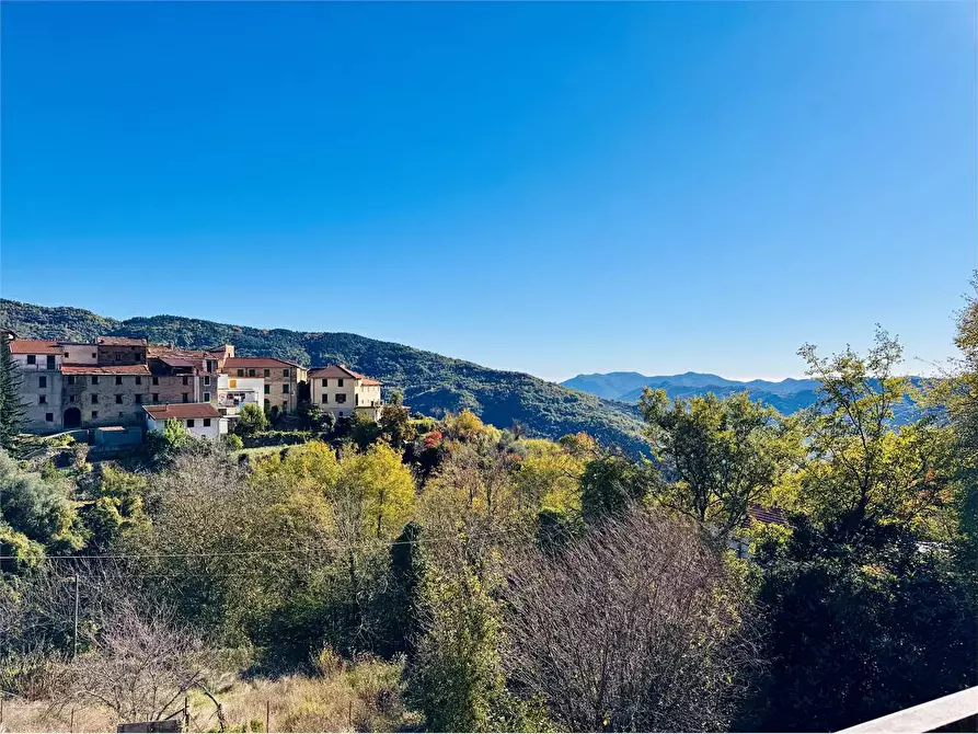 Immagine 69 di Casa indipendente in vendita  in Strada provinciale 14 2 a Borghetto D'arroscia