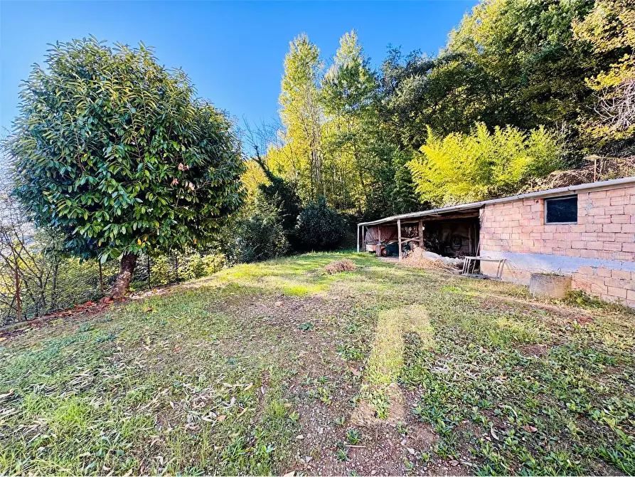 Immagine 9 di Casa indipendente in vendita  in Strada provinciale 14 2 a Borghetto D'arroscia