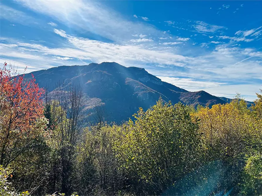 Immagine 29 di Rustico / casale in vendita  in Frazione Albra a Ormea