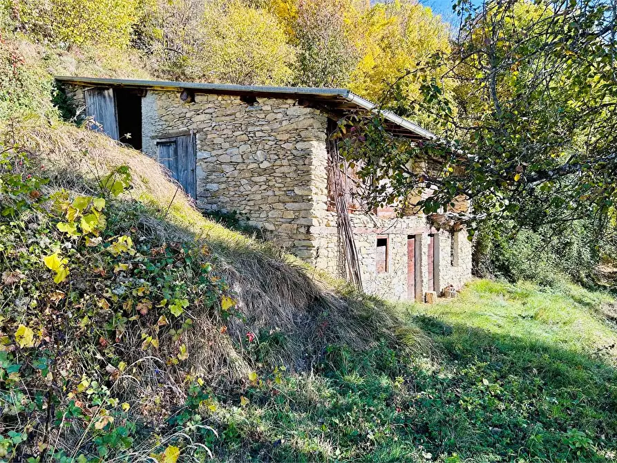 Immagine 11 di Rustico / casale in vendita  in Frazione Albra a Ormea