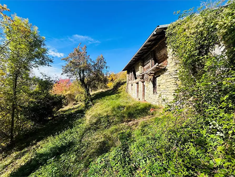 Immagine 2 di Rustico / casale in vendita  in Frazione Albra a Ormea