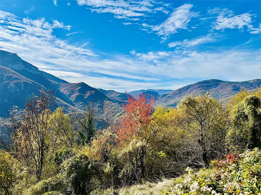 Immagine 7 di Rustico / casale in vendita  in Frazione Albra a Ormea